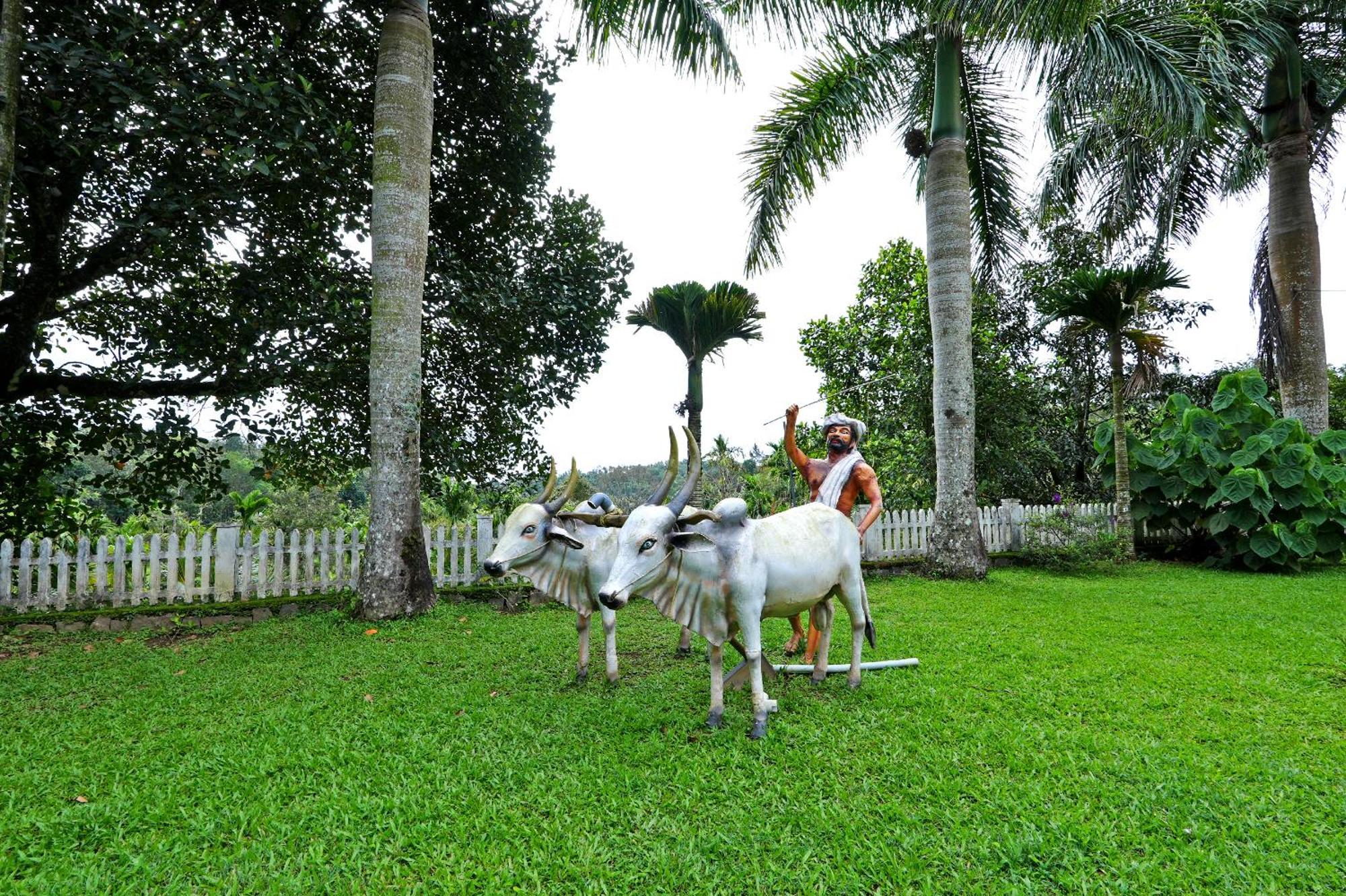 Leisure Homestay - Pool, Boating, Zipline, Home Food, Estate Chikmagalūr Buitenkant foto