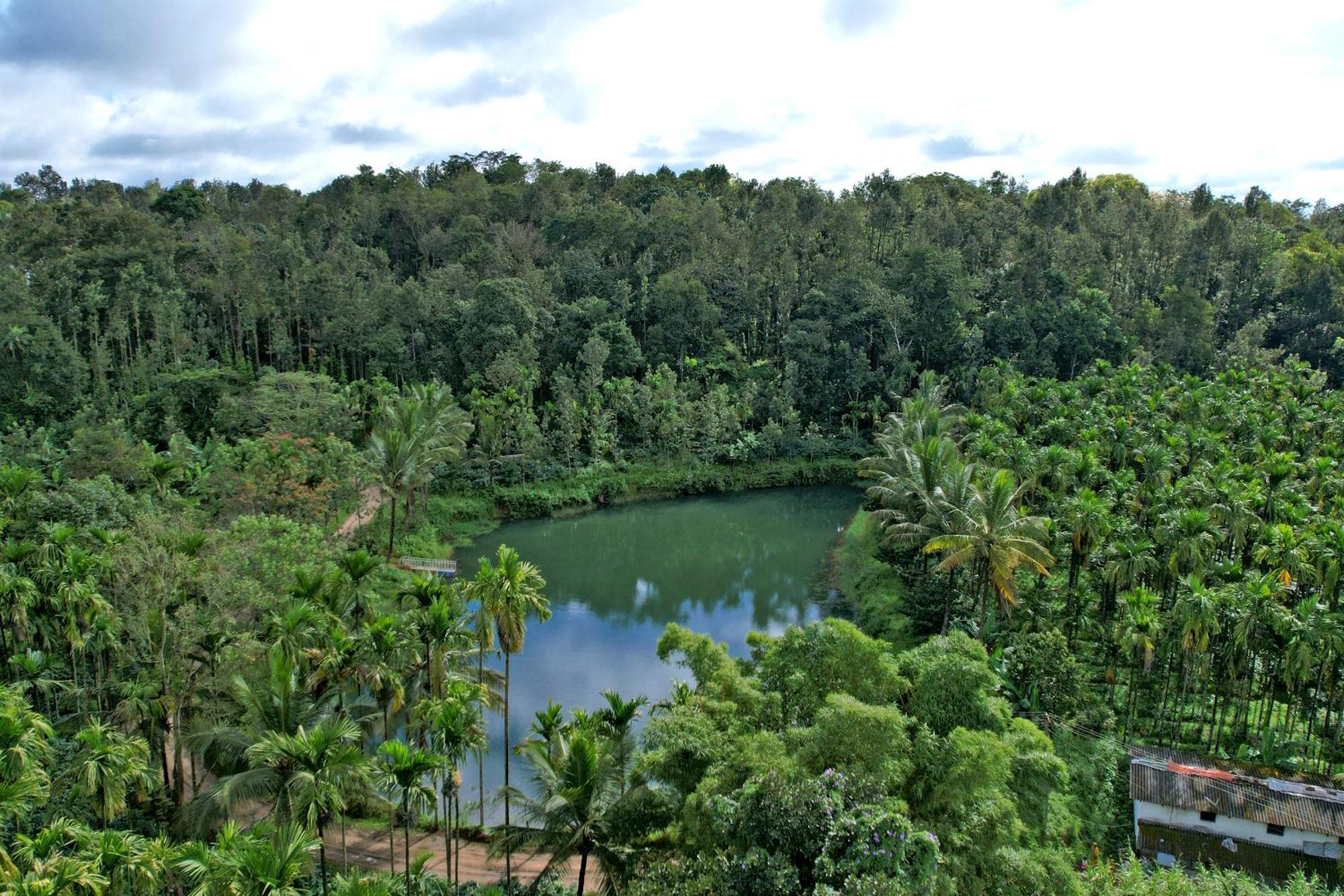 Leisure Homestay - Pool, Boating, Zipline, Home Food, Estate Chikmagalūr Buitenkant foto