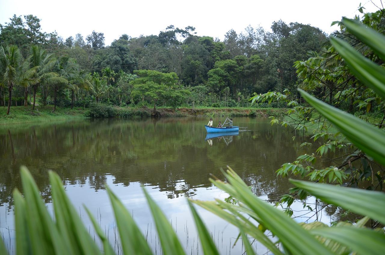 Leisure Homestay - Pool, Boating, Zipline, Home Food, Estate Chikmagalūr Buitenkant foto